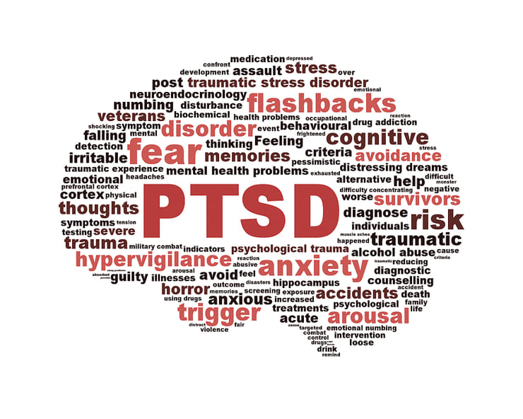 Trauma related word cloud in the shape of a human brain